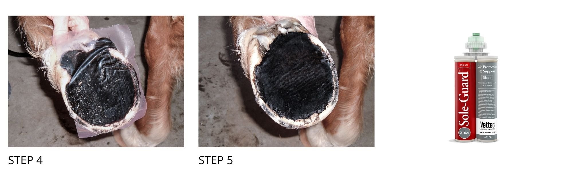 A standard application with Vettec SoleGuard